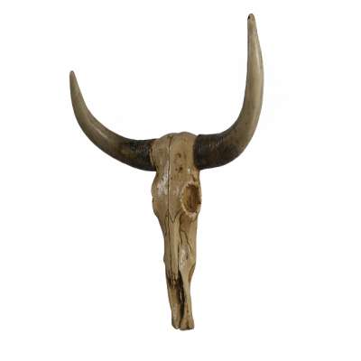 Brown resin Bull skulls Wall Decor Large Bison skulls