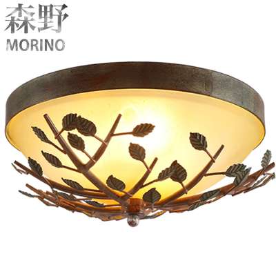 Wholesale low price decorative modern ceiling lamp